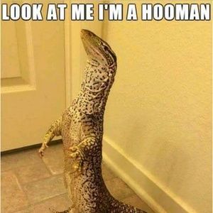 Meet your Posher, Darla